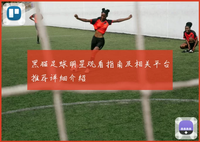 黑猫足球明星观看指南及相关平台推荐详细介绍
