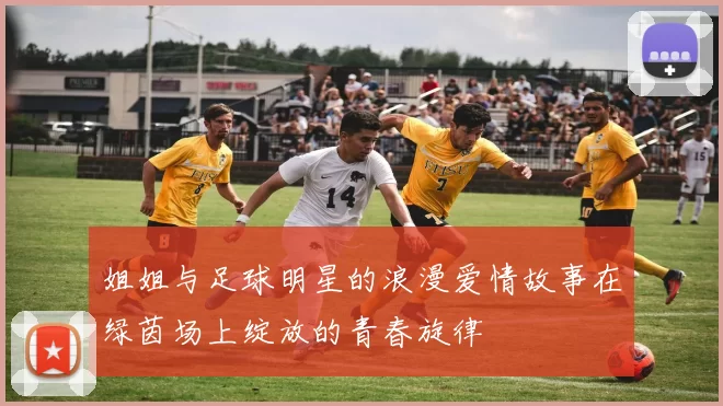 姐姐与足球明星的浪漫爱情故事在绿茵场上绽放的青春旋律