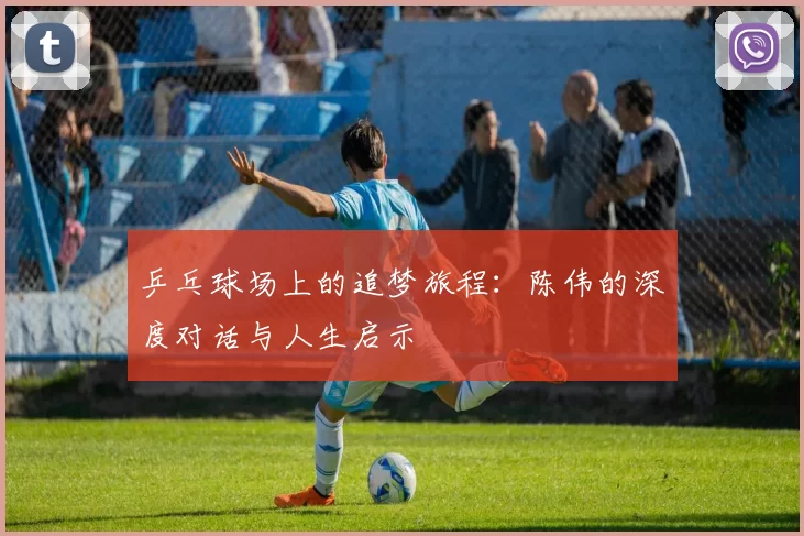 乒乓球场上的追梦旅程：陈伟的深度对话与人生启示