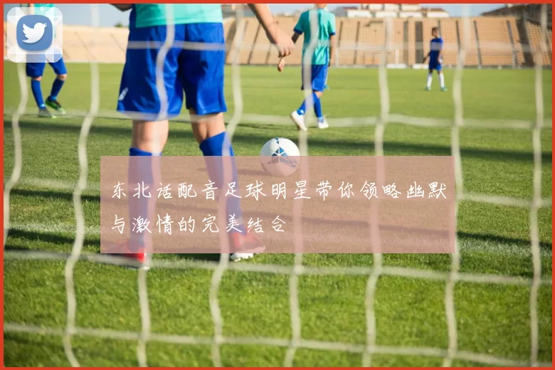 东北话配音足球明星带你领略幽默与激情的完美结合