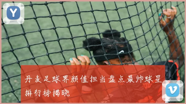 丹麦足球界颜值担当盘点最帅球星排行榜揭晓