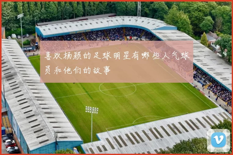 喜欢杨颖的足球明星有哪些人气球员和他们的故事