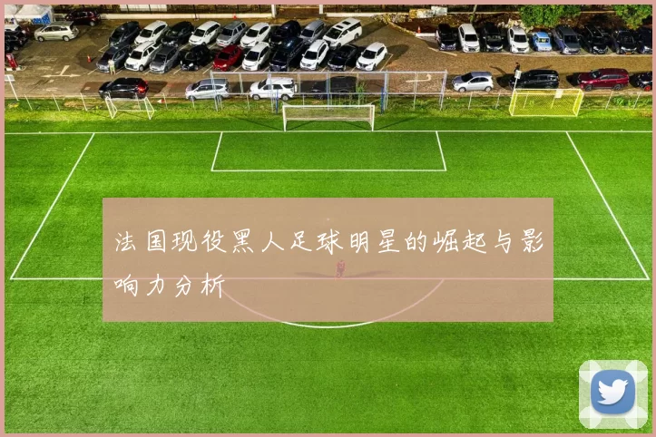 法国现役黑人足球明星的崛起与影响力分析