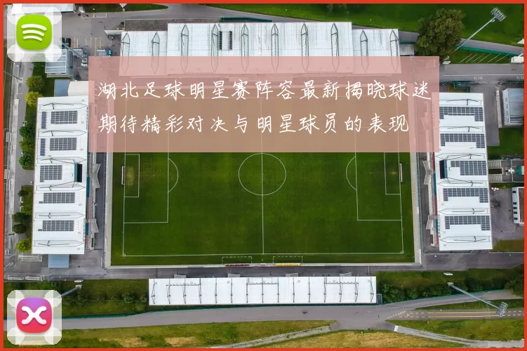 湖北足球明星赛阵容最新揭晓球迷期待精彩对决与明星球员的表现